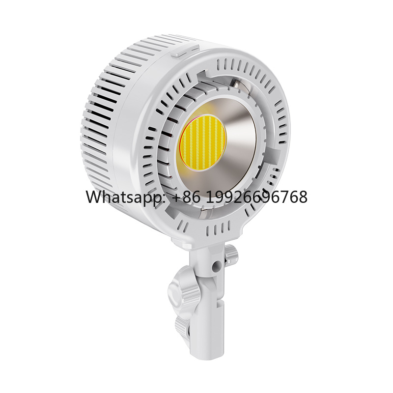 R200 Dual-Color COB LED Light  - Photography Lighting For Clothing recensie en prijs